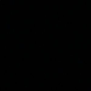 Meet your Posher, Delaney